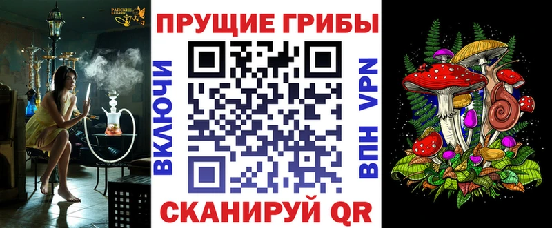 Галлюциногенные грибы Psilocybe  Купить закладки  Владимир 